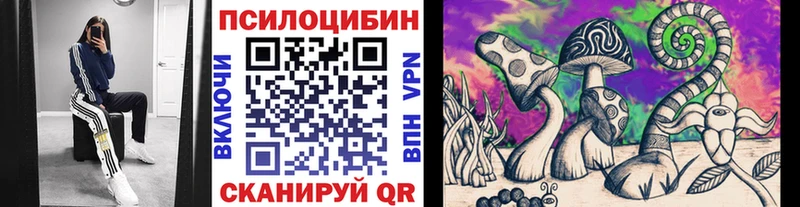 купить наркотик  Иннополис  Галлюциногенные грибы Psilocybine cubensis 